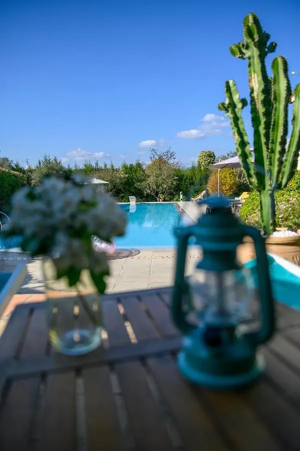 Bed and Breakfast Le Mas De La Source Mougins