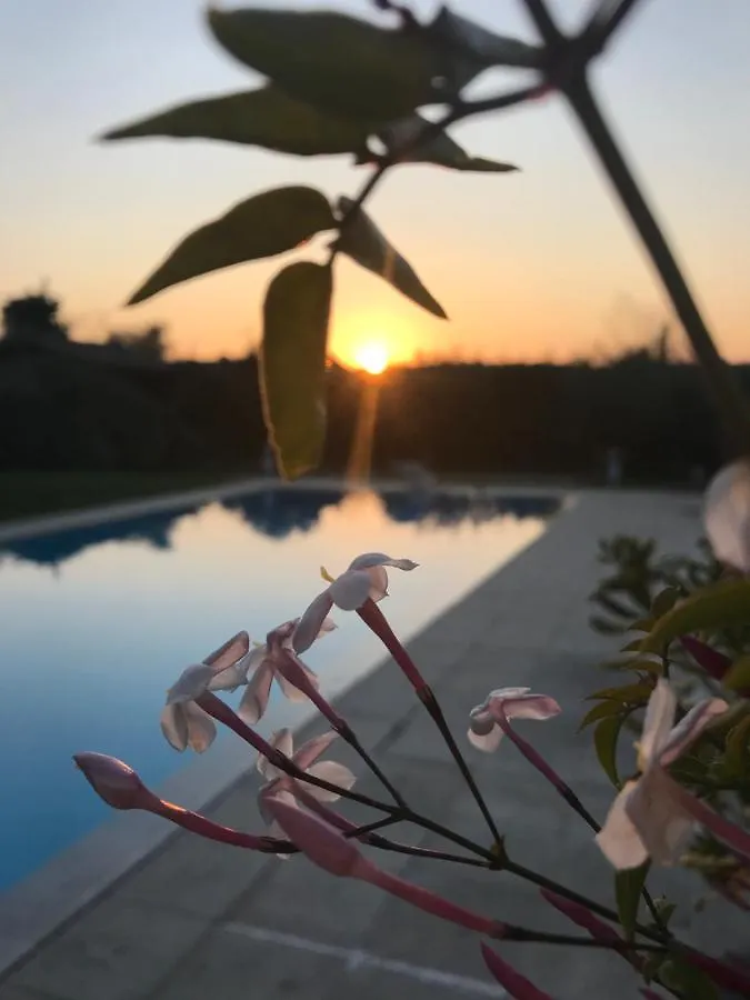 Le Mas De La Source Bed and Breakfast Mougins 0*,